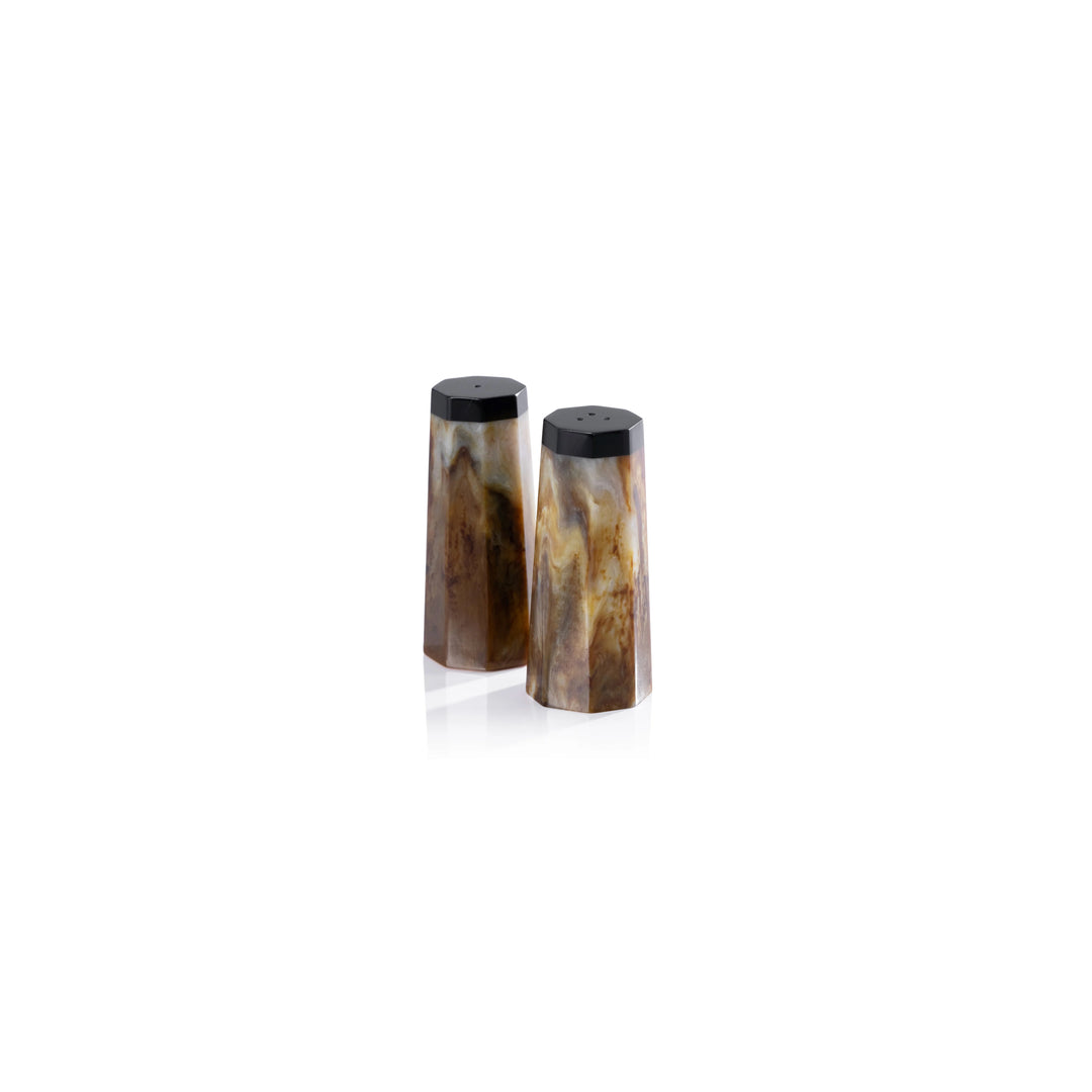Burl Wood Design Resin Salt and Pepper Shaker Set