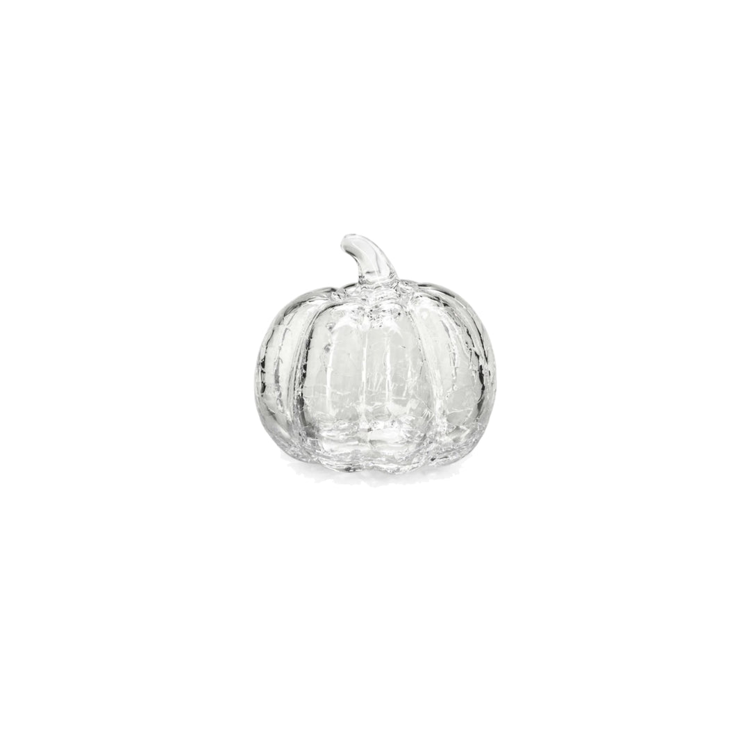 Pumpkin Crackle, Small