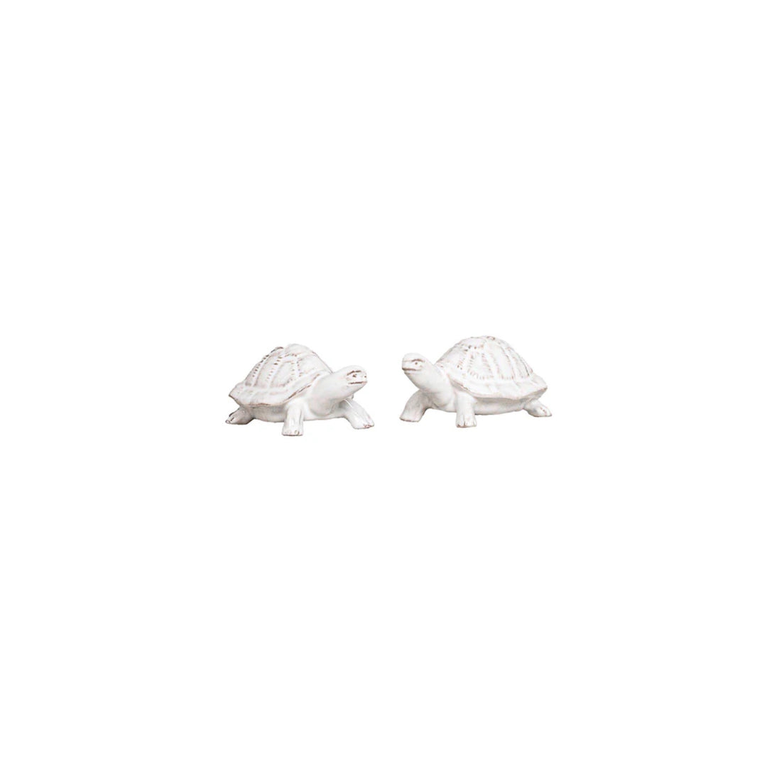 Clever Creatures Turtle Salt and Pepper Set