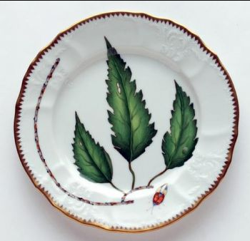 Green Leaf Salad Plate
