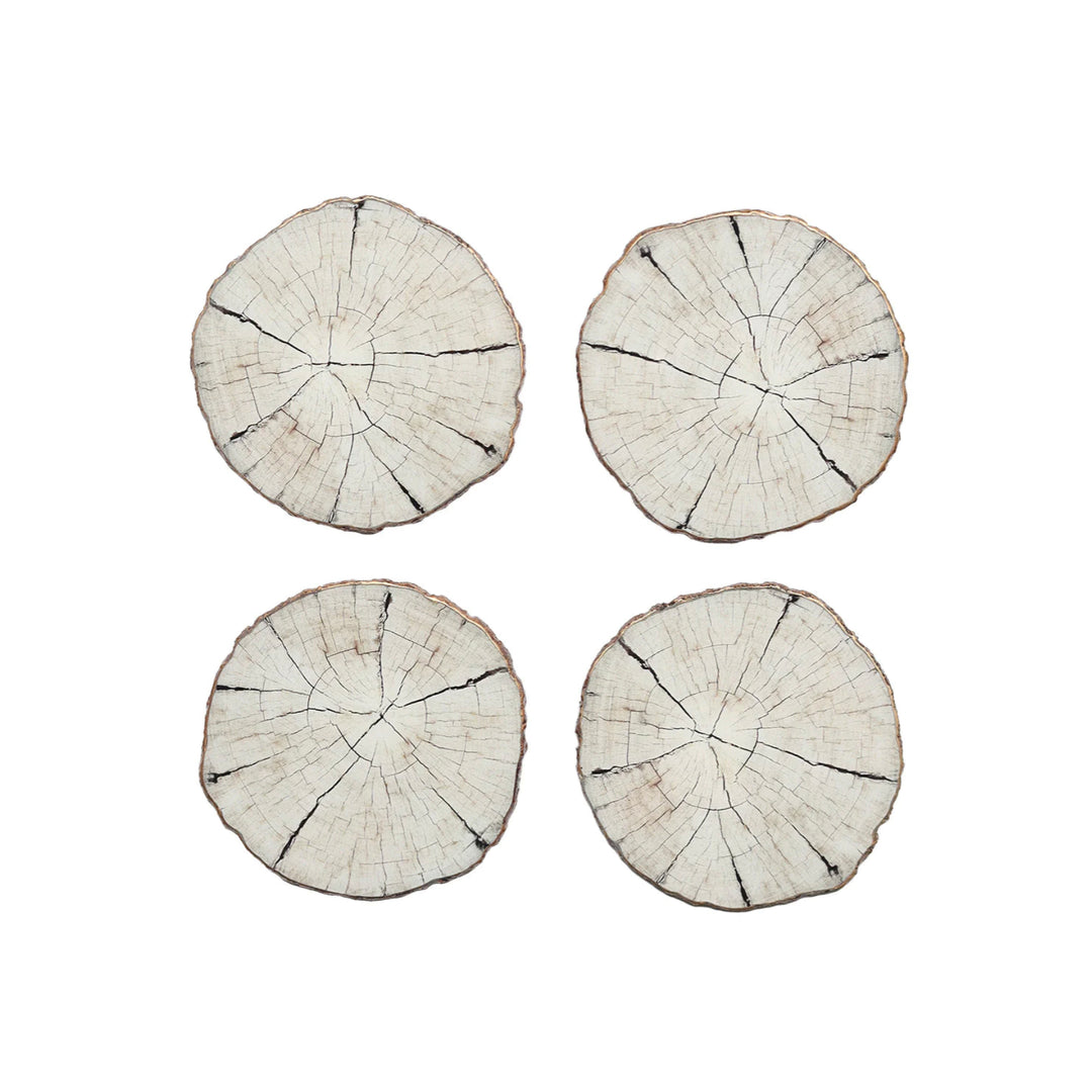 Birch Coasters in Ivory & Natural, Set of Four
